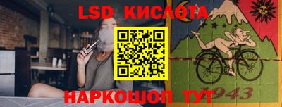 сатива Ярославль