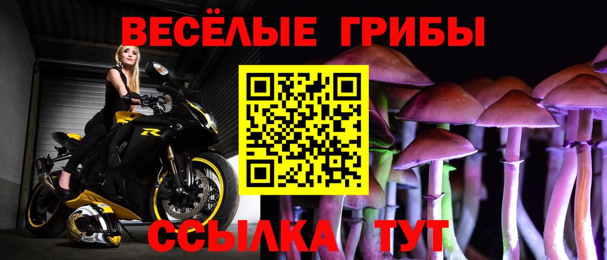 Старая Русса  Галлюциногенные грибы Cubensis  как найти закладки  Вход с VPN 